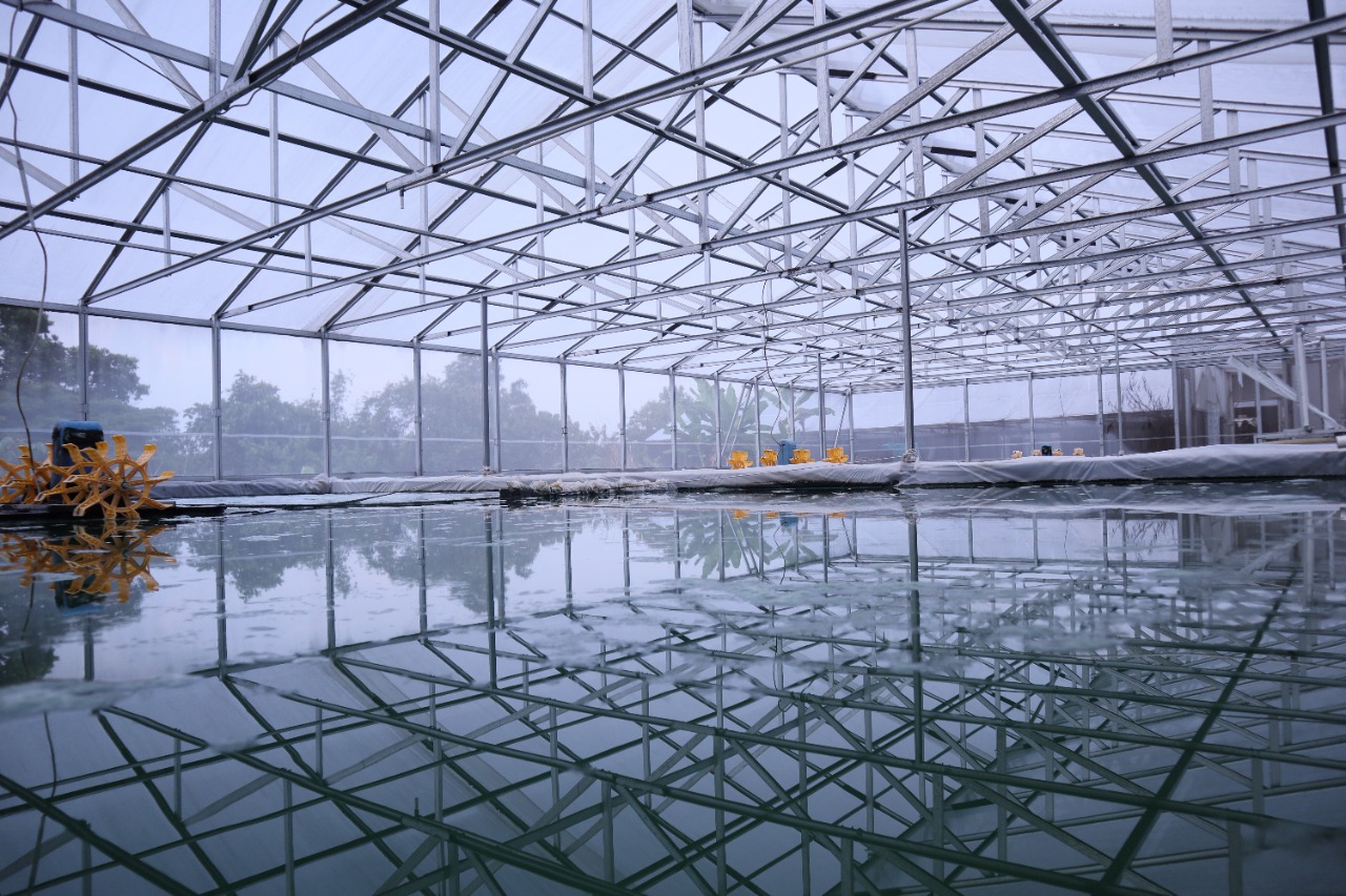 WhatsApp Image 2022-11-03 at 13.02.37