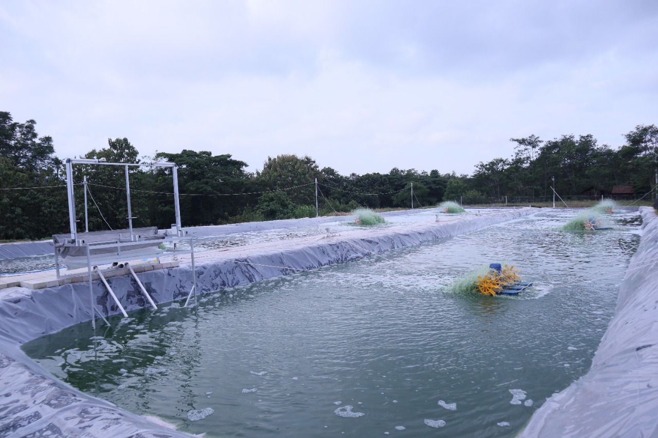 WhatsApp Image 2022-11-03 at 13.02.38