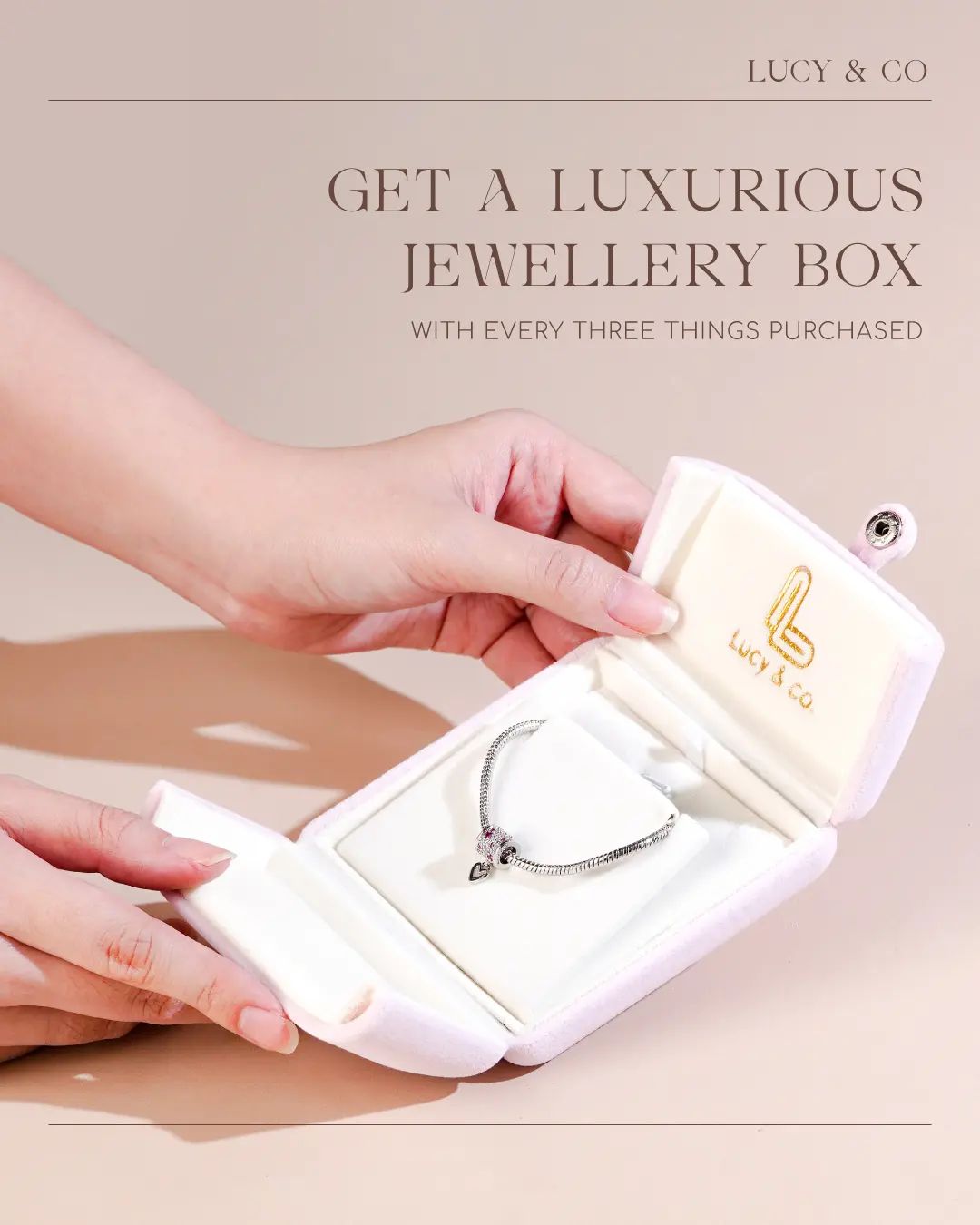 Get a Luxurious Jewellery box