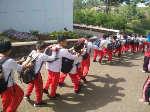 foto-sd7